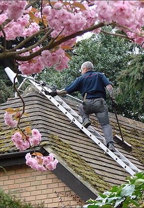 Our staff cleaning the moss from a roof in South Benfleet near Basildon